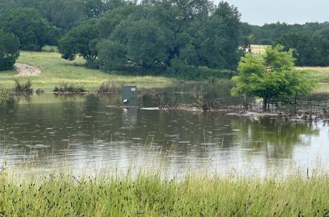 Like many Lampasas County ranchers have experienced with their pastures, this local cow-calf operation has had much of its forage under water due to exponential amounts of rain this month. joycesarah mccabe | dispa tch record