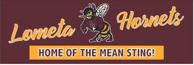 Lometa Hornest HOME OF THE MEAN STING!
