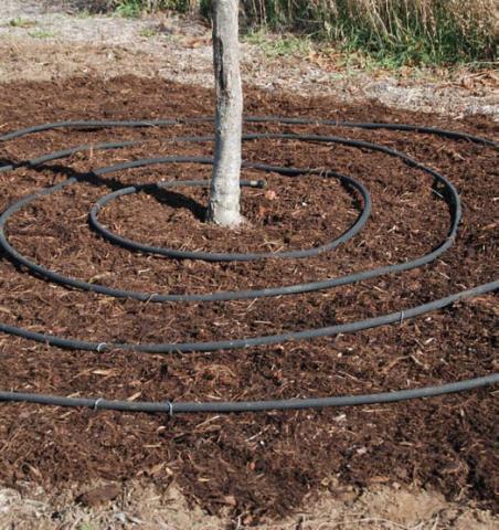 A soaker hose placed around the base of a tree can be used to help keep the soil and roots moist. COURTESY PHOTO | WWW.MELINDAMYERS.COM