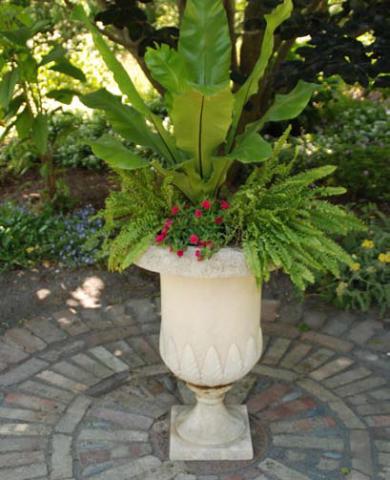 Provide heat-stressed plants in containers relief by moving them into the shade during heat waves. COURTESY PHOTO | MELINDAMYERS.COM