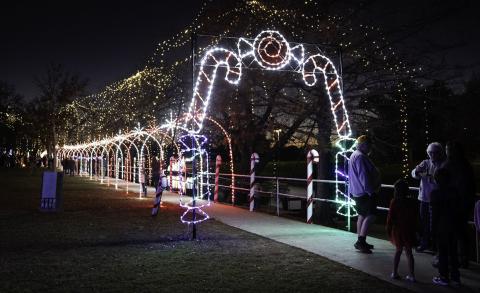 Candy Cane Lane in W.M. Brook Park will remain lighted over the holidays for those who stroll along Sulphur Creek. ADAM BARRIOS | DISPATCH RECORD