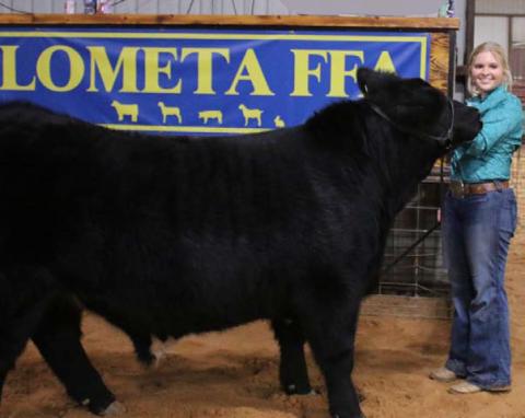 The grand champion steer was shown by Kari Greiner. MASON HINES | DISPATCH RECORD