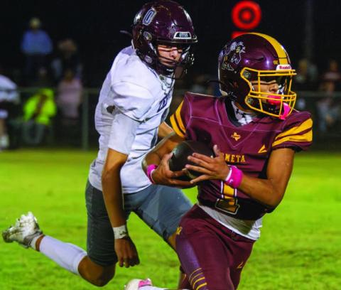 Chris Hernandez hauls in a deep pass from Ulises Prado, picking up Lometa’s first new set of downs Oct. 2. Hernandez scored the Hornets’ lone touchdown of the game. ANA SOFIA MEYER | DISPATCH RECORD
