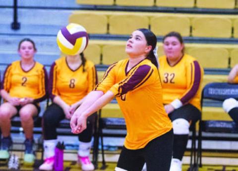 Junior Elaina Faulstitch has been an important addition to the Lady Hornets this season, bringing an energy and enthusiasm to the court. ANA SOFIA MEYER | DISPATCH RECORD