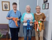 From left to right are Sue Anderson, Teresa Stewart and Tico Hicks, the big award winners at the 2024 L-M Garden and Civic Club Flower Show. courtes y photo
