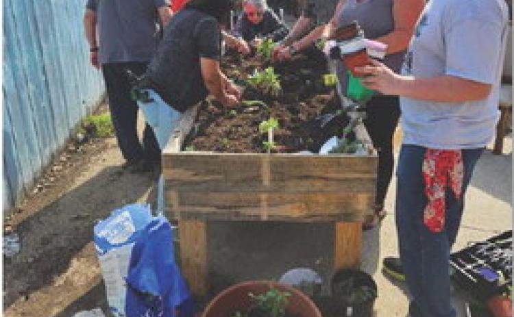 courtesy photo | Gail Eltgroth Browning Community Garden Club members are joined by Lily Springs Rehabilitation and Healthcare Center residents as they plant new items in the raised garden beds at the center.