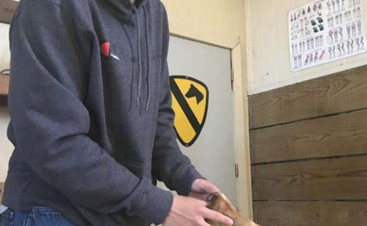 Farrier gives demonstration
