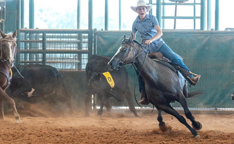 Bar 17 Arena hosts team penning competition