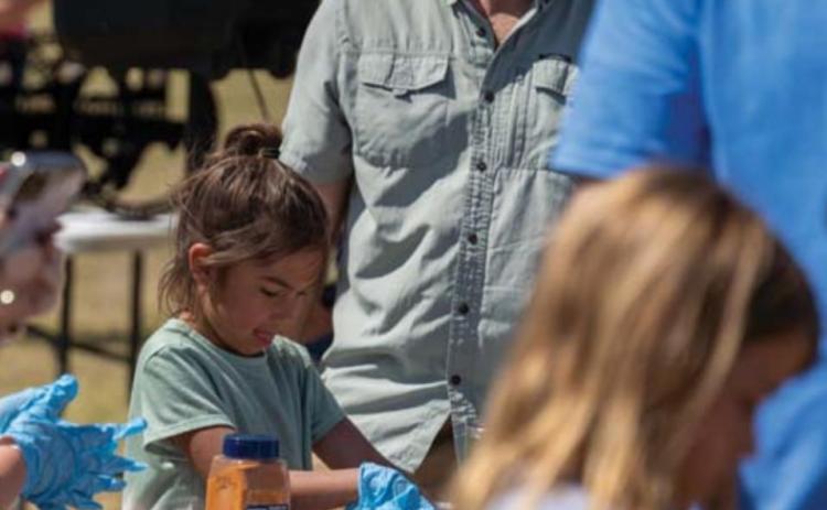 Kylie Simpson, 7, competes in the junior division of the Kids Cue competition at the LTX BBQ Fest. JEROMIAH LIZAMA | DISPATCH RECORD