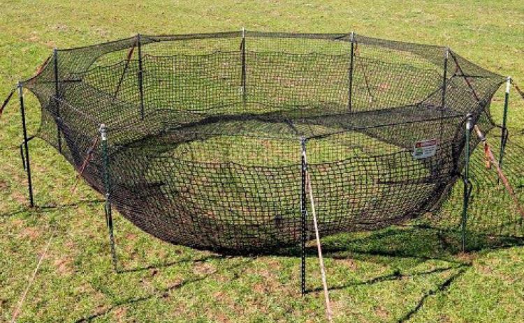 The pig trap made available by the Hill Country SWCD is a continuous-entry system that allows wild hogs to enter but prevents them from exiting. The traps are easy to set up and simple to operate, according to conservation technicians. COURTESY PHOTO | HILL COUNTRY SWCD