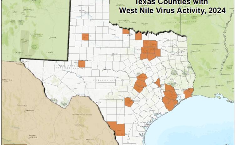 This Texas Department of Health and Human Services graphic shows counties in which West Nile Virus activity has been noted in 2024. COURTESY GRAPHIC | TEXAS DEPARTMENT OF HEALTH AND HUMAN SERVICES