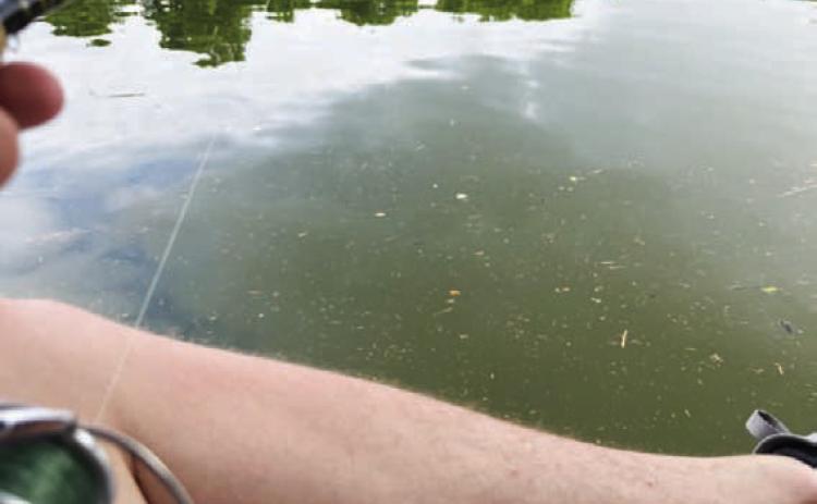 The calm of the water was only interrupted when a fish would bite. HUNTER KING | DISPATCH RECORD