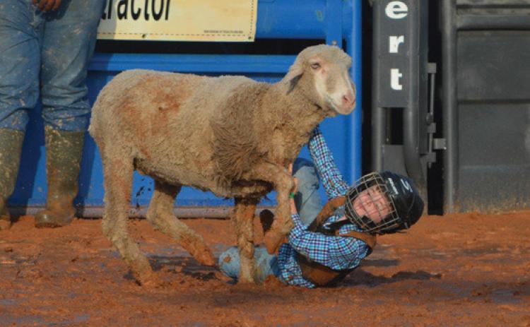 Caleb Hernandez tries to hold onto his sheep during mutton bustin’ at the Riata Roundup Rodeo on Friday. erick mitchell | dispatch record