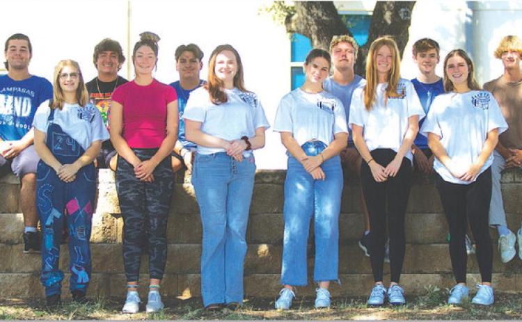 High school names Homecoming Court nominees