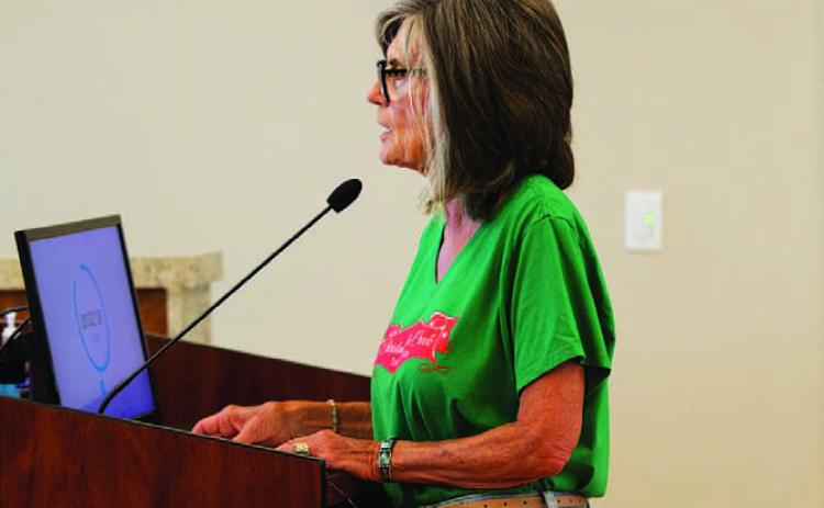 Christmas on the Creek spokesperson Libby Bluntzer addressed the Lampasas City Council Monday to advocate for continued funding for the annual event. HUNTER KING | DISPATCH RECORD