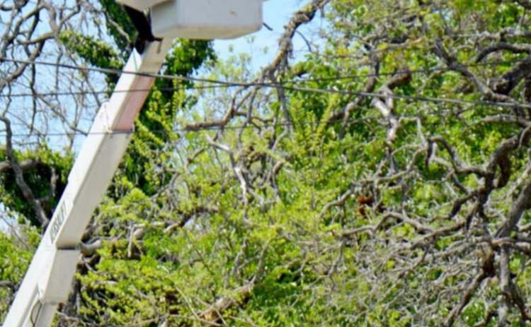 The city of Lampasas electric department is shown working near electric lines last year. FILE PHOTO