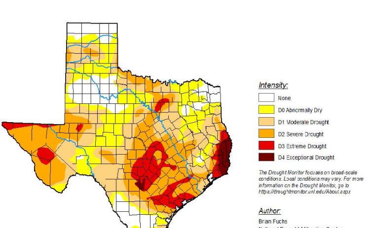 Recent rain eases drought