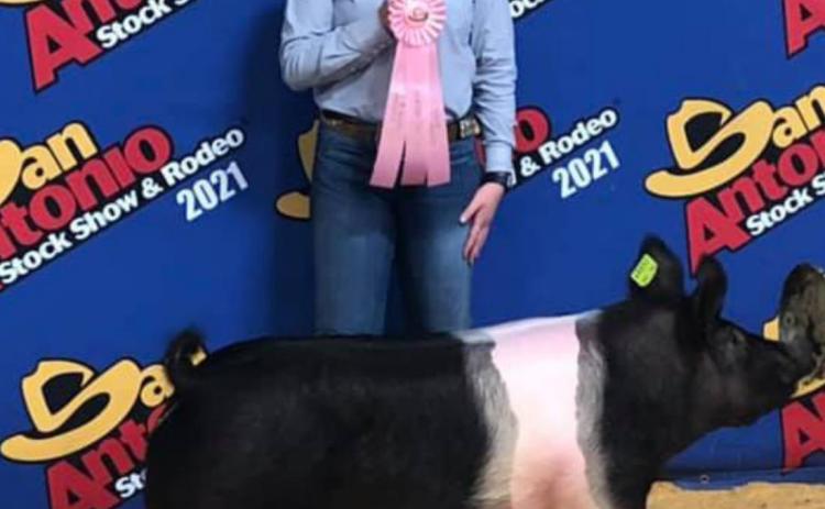 Students have success exhibiting livestock