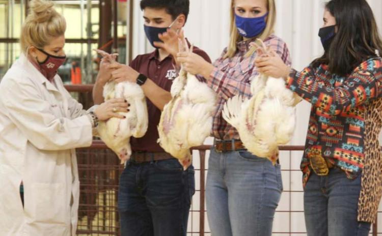 Stock show features variety of competitions
