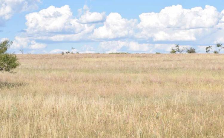 Small- and large-acreage tracts of land in Region 7 -- which includes Lampasas County -- continue to sell well, with strong price gains over the last year. Subdivision of land into acreage home sites has accelerated, according to the most recent “Texas Rural Values Land Trends” report. ALEXANDRIA RANDOLPH | DISPATCH RECORD