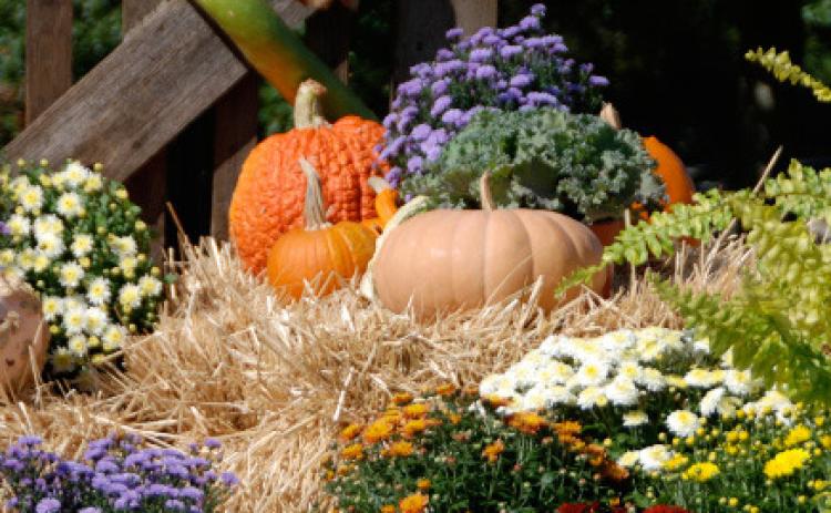 An autumn display of mums, straw bales, pumpkin and ornamental squash dress up this landscape. courtesy photo | melindamyers.com