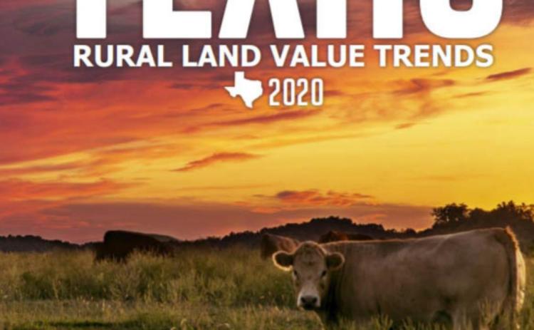 The Texas Rural Land Value Trends document offers a wealth of information on population growth trends, land transactions and property lease values across the state. cover image