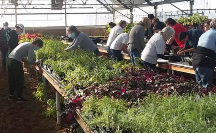 Greenhouse plant sale scheduled