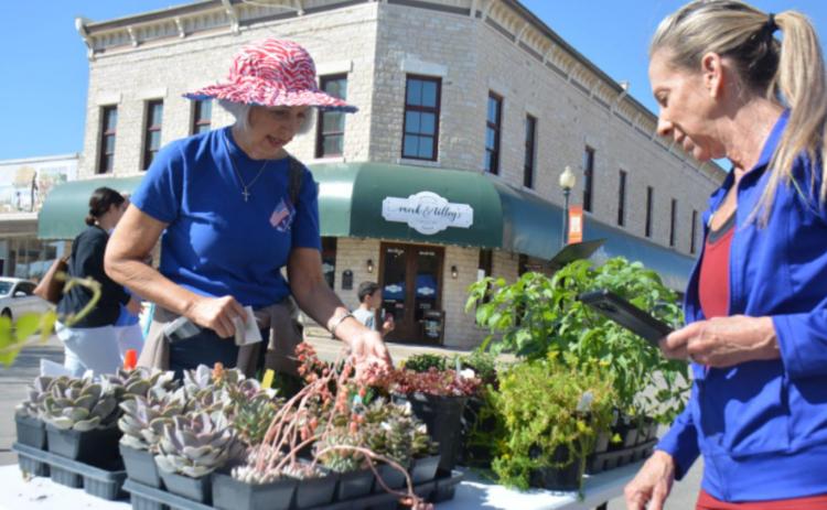 Sheila Bean, left, inquires about succulents while visiting with Rumley Nursery owner Donna Keitch during Saturday’s Spring Fest. MONIQUE BRAND | DISPATCH RECORD