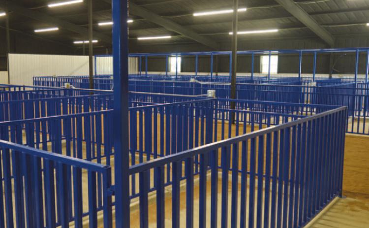 ERICK MITCHELL | DISPATCH REACORD Each pen is 10 feet long and 5 feet wide, large enough for a pig or for two smaller animals, said Jeff Rutland, president of the Lampasas County Livestock Association.