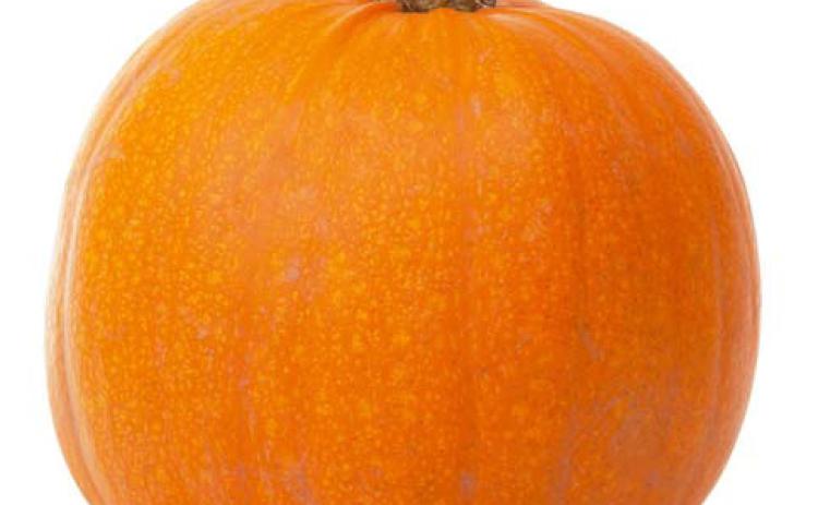 Trunk-or-Treats and fall festivals abound in October