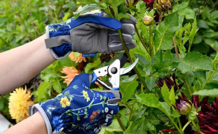 Stylish garden gloves and a pruner with comfort grip handles are functional gifts, allowing mom to garden longer. courtesy photo | corona tools