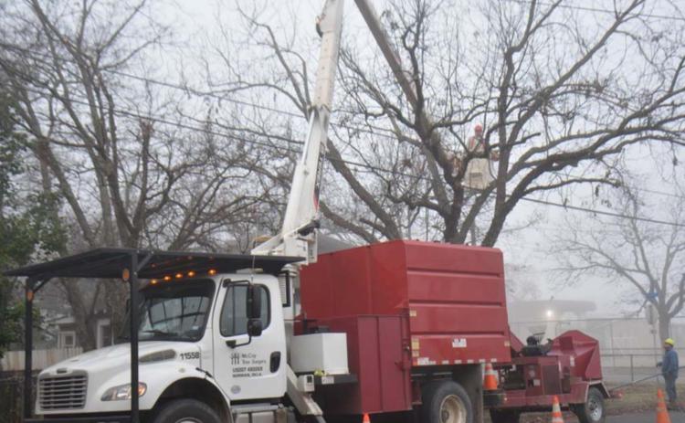 A crew from McCoy Tree Surgery trims trees last winter near the intersection of East North Avenue and South Western. This fall and winter’s tree-trimming effort is scheduled to continue until about mid-February. FILE PHOTO