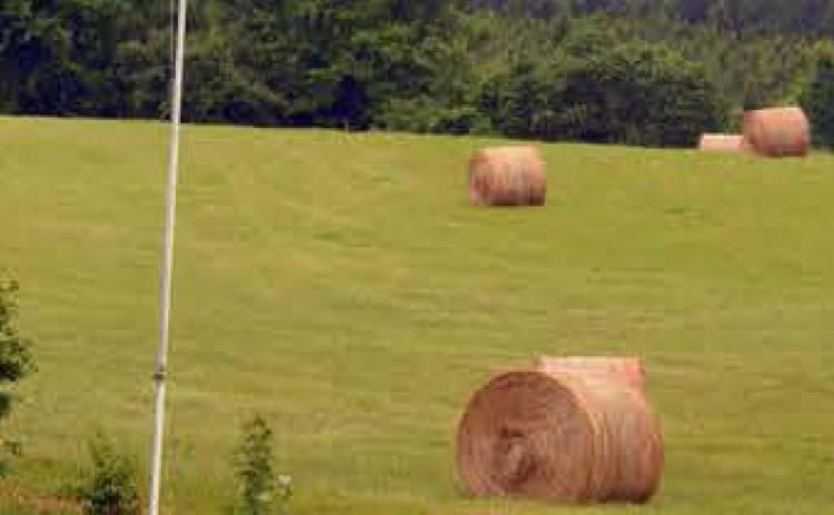 RSVPs are requested as soon as possible for the Central Texas Hay Production Workshop. The program is scheduled for Thursday from 9 a.m. to 2 p.m. in Burnet. COURTESY PHOTO