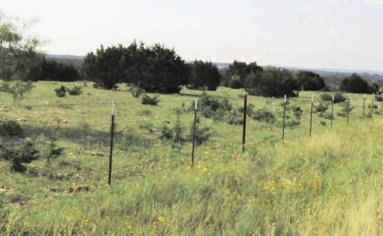 Healthy native grass and vegetation grow outside this ranch fence, while sparse and undesirable green weeds grow inside the fence due to overgrazing during last year’s drought. Joycesarah McCabe | Dispatch Record