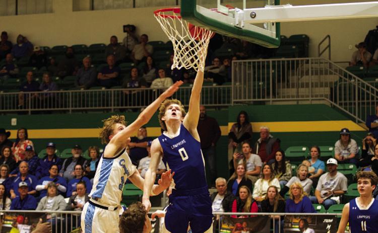 Many Lampasas basketball players receive all-district honors
