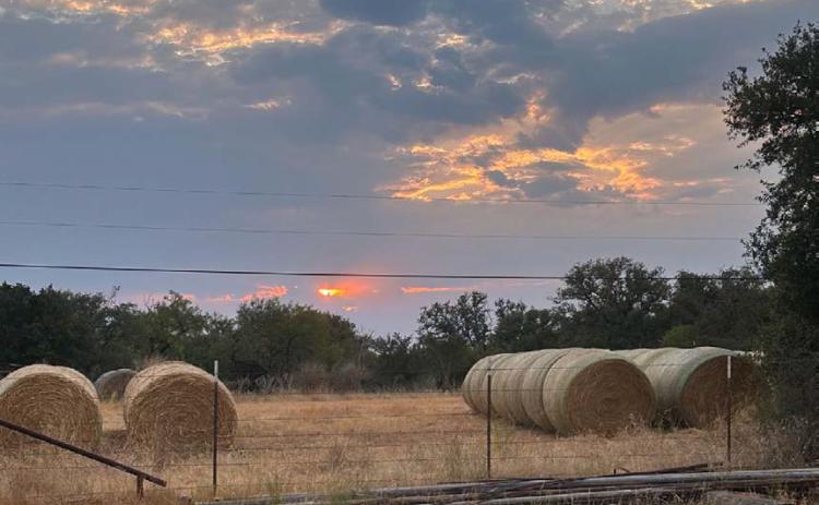 Farm Bureau names photo contest winner