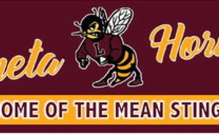 Lometa Hornest HOME OF THE MEAN STING!
