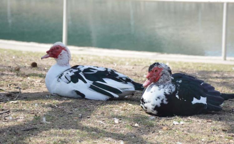 Just hangin’ in the sunshine