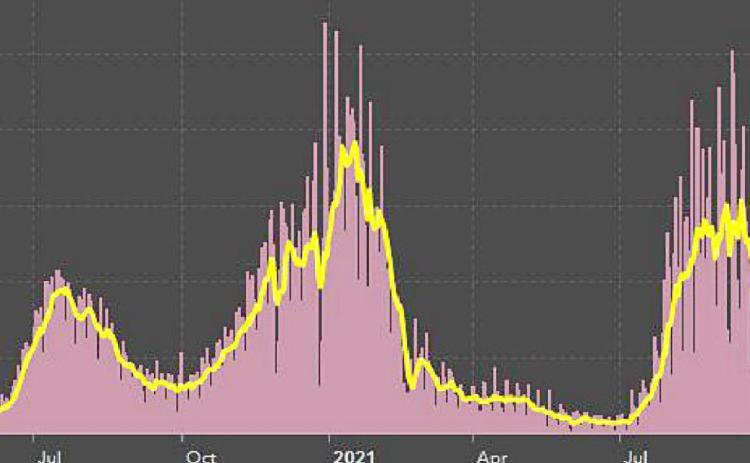 The state shows a slight decline in COVID-19 cases. TEXAS DEPARTMENT OF STATE HEALTH SERVICES