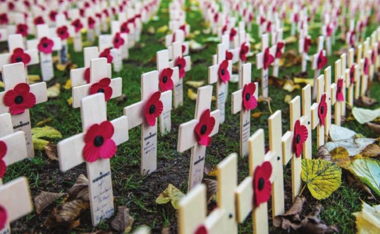 Support the Lampasas American Legion Auxiliary Unit 277 by making a donation and honoring Poppy Day. METRO CREATIVE GRAPHICS