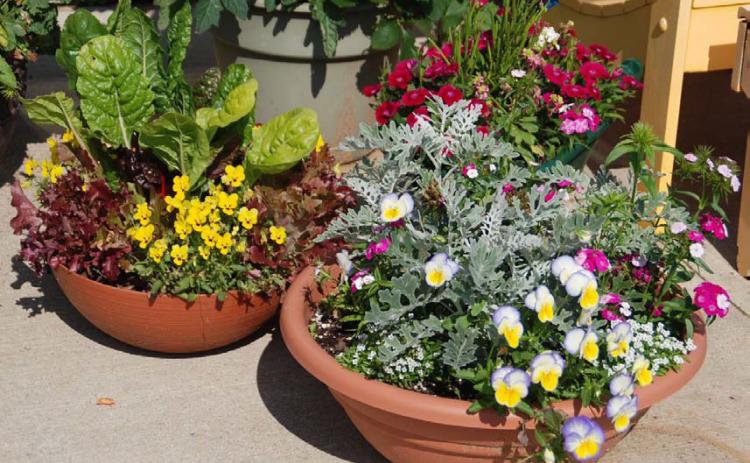 The right potting mix will help ornamental and edible plants thrive. COURTESY PHOTO | MELINDAMYERS.COM