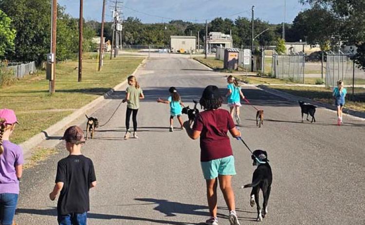 With the Doggy Day Out challenge, Lampasas Animal Shelter staff hope to encourage volunteers, especialy youths like the members of this local Girl Scout Troop, to walk dogs, which not only helps alleviate staff hours, but also aids them in learning about the personalities and needs of each shelter dog. courtesy photo