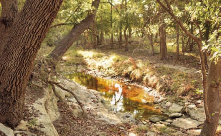 The new hike and bike trail that winds through wooded areas at the 580 Sports Complex is featured among the parks stories in the Guide to Lampasas. ALEXANDRIA RANDOLPH | DISPATCH DISPATCH