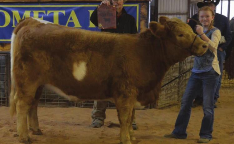 MASON HINES | DISPATCH RECORD Selie Hodge showed the grand champion heifer at the Lometa FFA Livestock Show last Saturday.