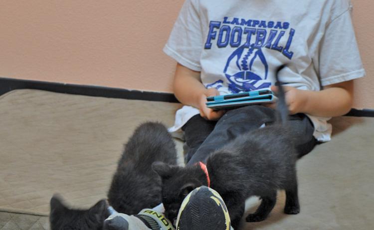 Youngsters like this Lampasas ISD third-grader will have the chance to read with animals until the end of July. erick mitchell | dispa tch record