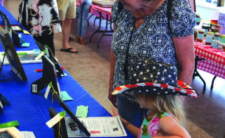 Community members of all ages enjoyed viewing Lampasas County Fair submissions at the First Presbyterian Church Fellowship Hall last summer. FILE PHOTO