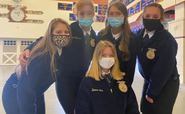 FFA members capture awards at area