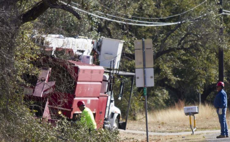 Tree-trimming effort continues around electric lines