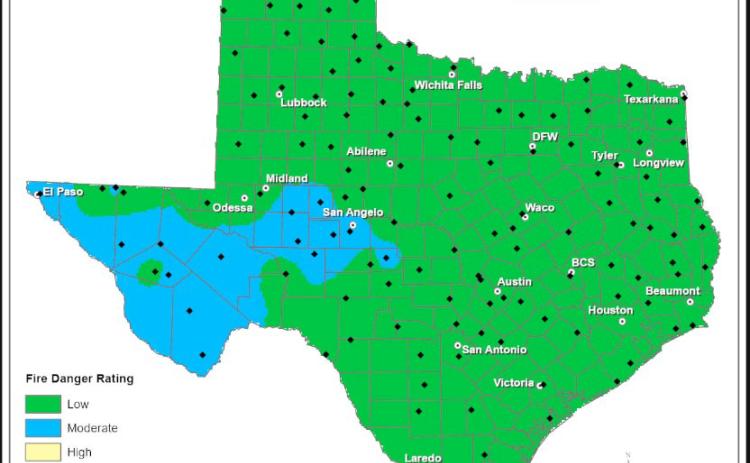 COURTESY GRAPHIC | TEXAS A&amp;M FOREST SERVICE