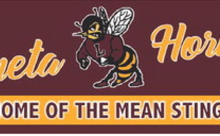 Lometa Hornest HOME OF THE MEAN STING!